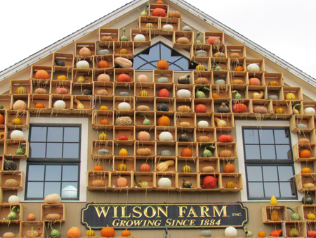 Wilson Farm Pumpkin Display