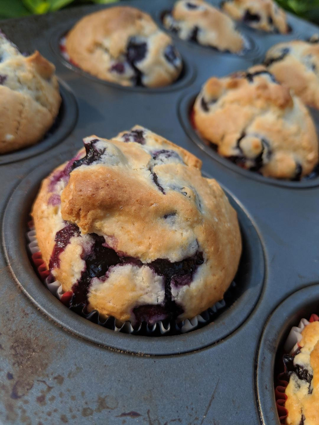 Baking Mix Blueberry Muffins Afoodieaffair