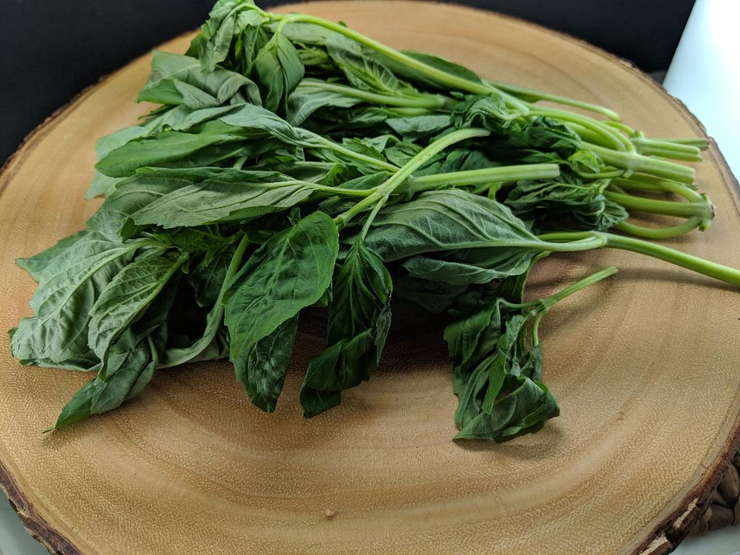 Reviving Fresh Basil Afoodieaffair