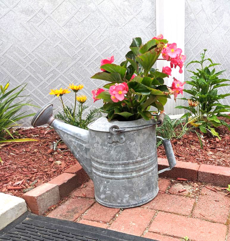 Watering can planter